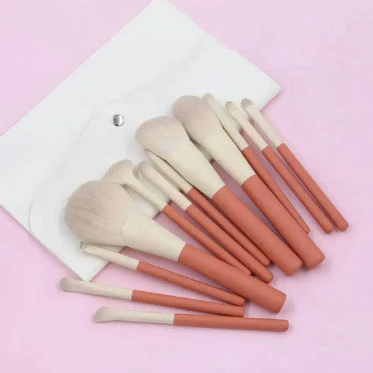 ROSLET Travel 12 Makeup Brush Set  beauty tools for Indian