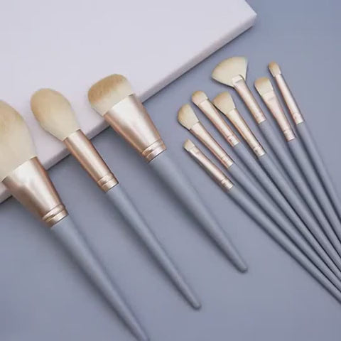 ROSLET premium 10-piece makeup brushes with bag for blending contour blush powder and eye makeup looks in India