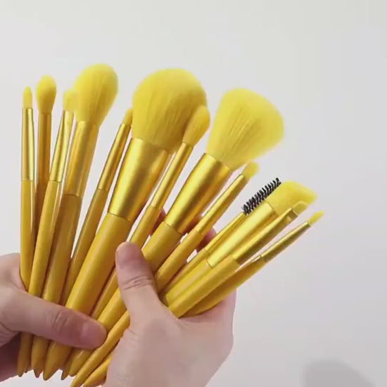 ROSLET premium 12 pcs makeup brushes for blending contour blush powder and eye makeup looks in India