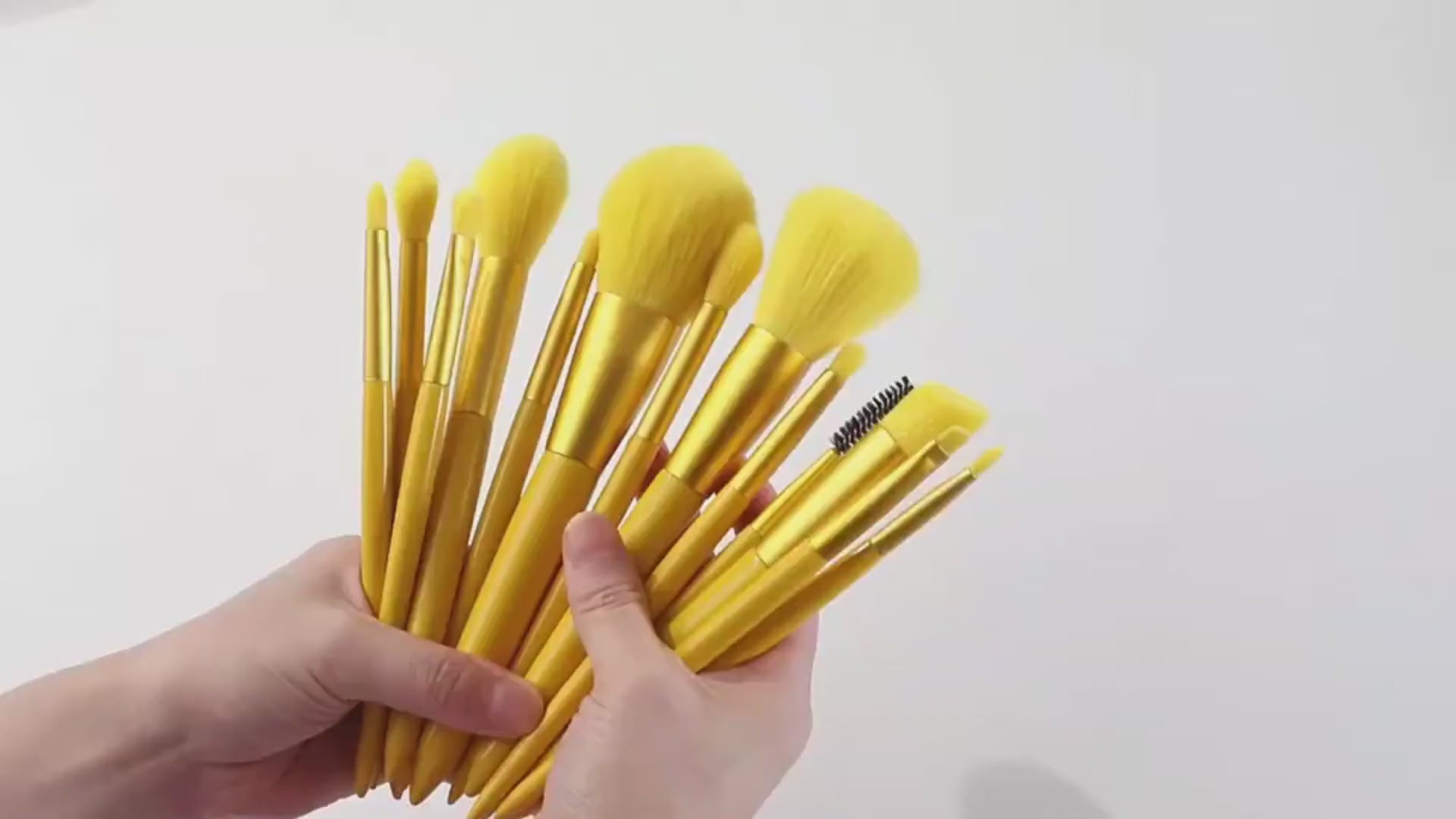 ROSLET premium 12 pcs makeup brushes for blending contour blush powder and eye makeup looks in India