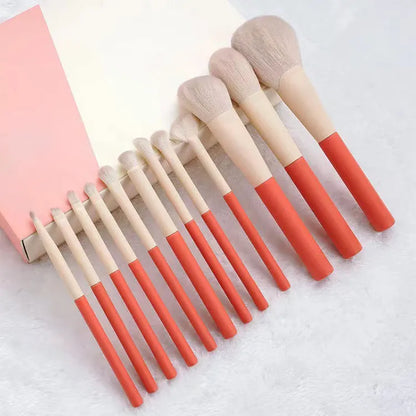Professional beauty tools for flawless makeup application in India